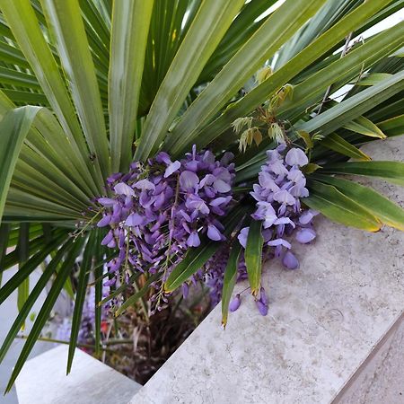 Apartments Poretti For 2,In Center Parking Free In The Yard,6 Min Beach Walk Rovinj Exterior foto