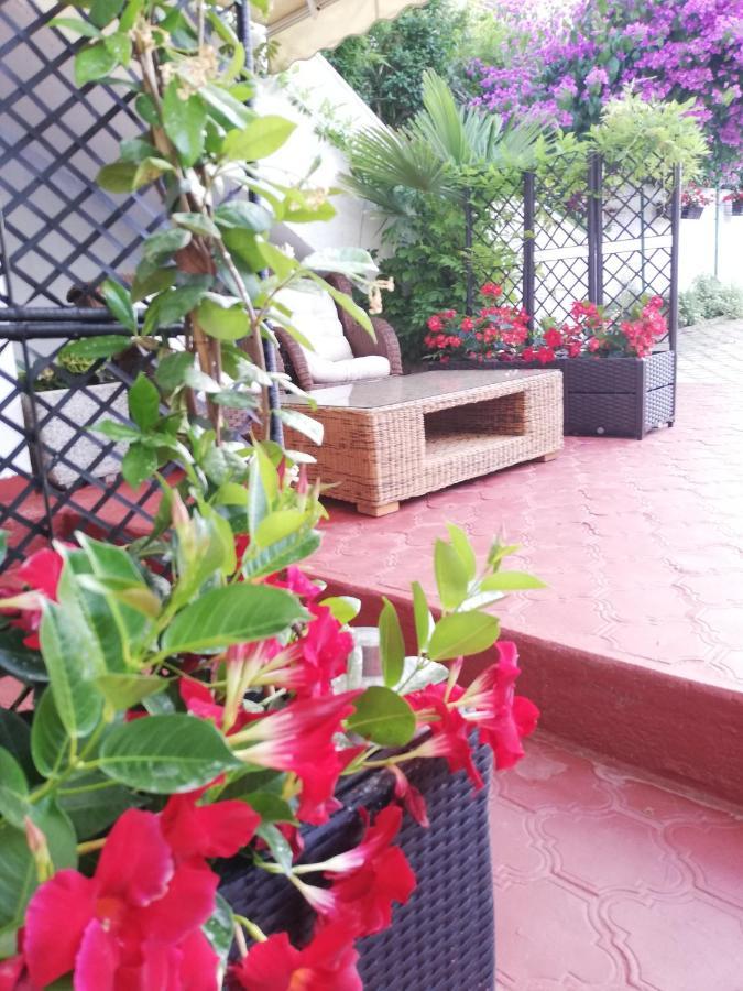 Apartments Poretti For 2,In Center Parking Free In The Yard,6 Min Beach Walk Rovinj Exterior foto