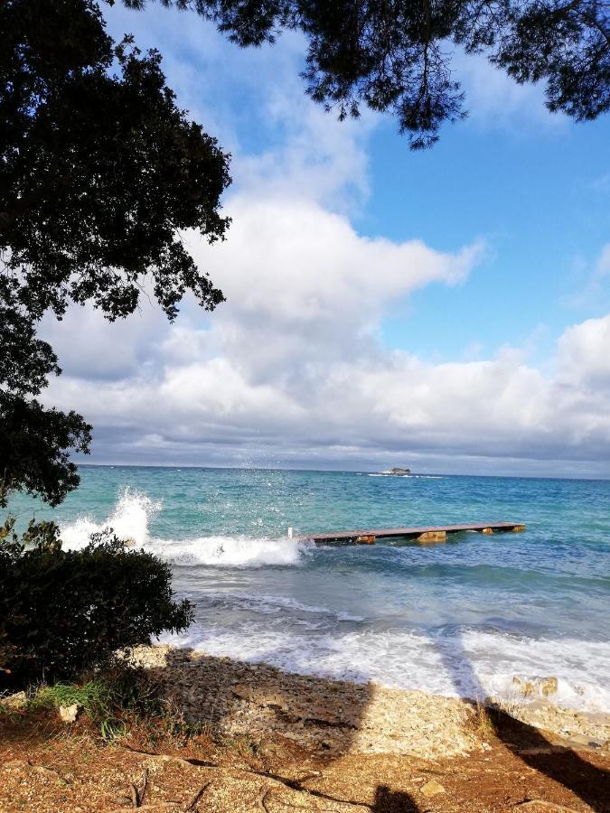 Apartments Poretti For 2,In Center Parking Free In The Yard,6 Min Beach Walk Rovinj Exterior foto