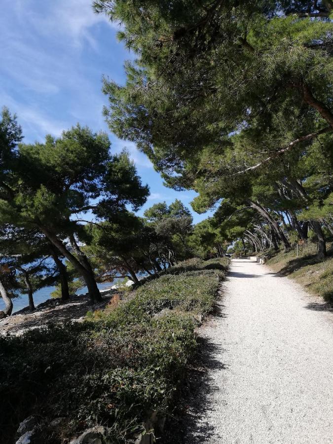Apartments Poretti For 2,In Center Parking Free In The Yard,6 Min Beach Walk Rovinj Exterior foto