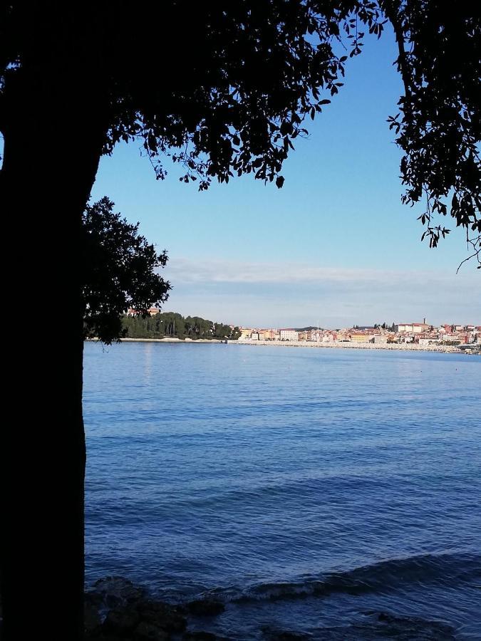 Apartments Poretti For 2,In Center Parking Free In The Yard,6 Min Beach Walk Rovinj Exterior foto