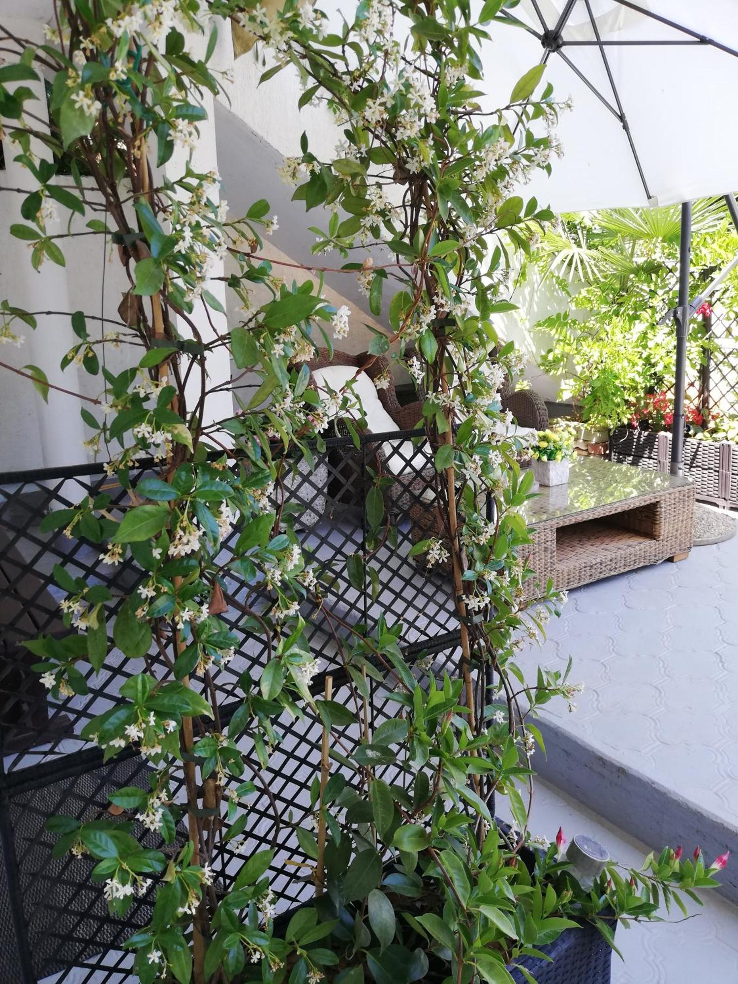 Apartments Poretti For 2,In Center Parking Free In The Yard,6 Min Beach Walk Rovinj Cameră foto